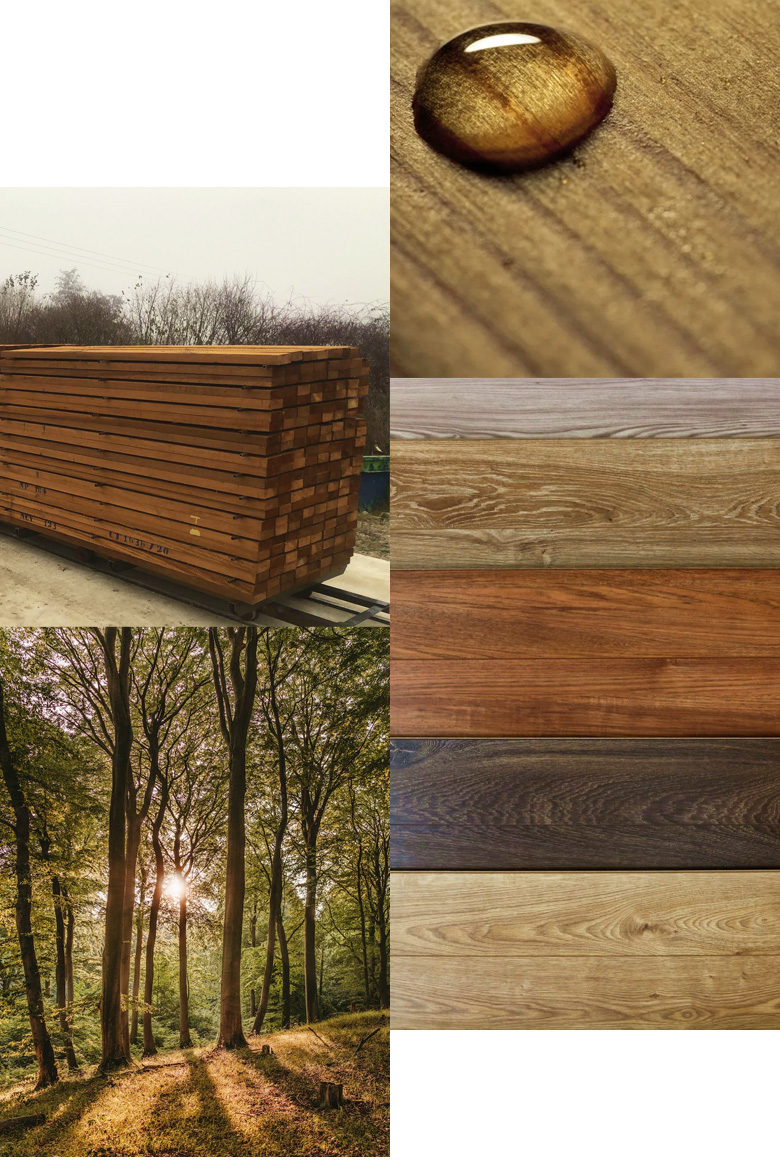 Biobiowood Eco-Friendly Wood Modification Technology