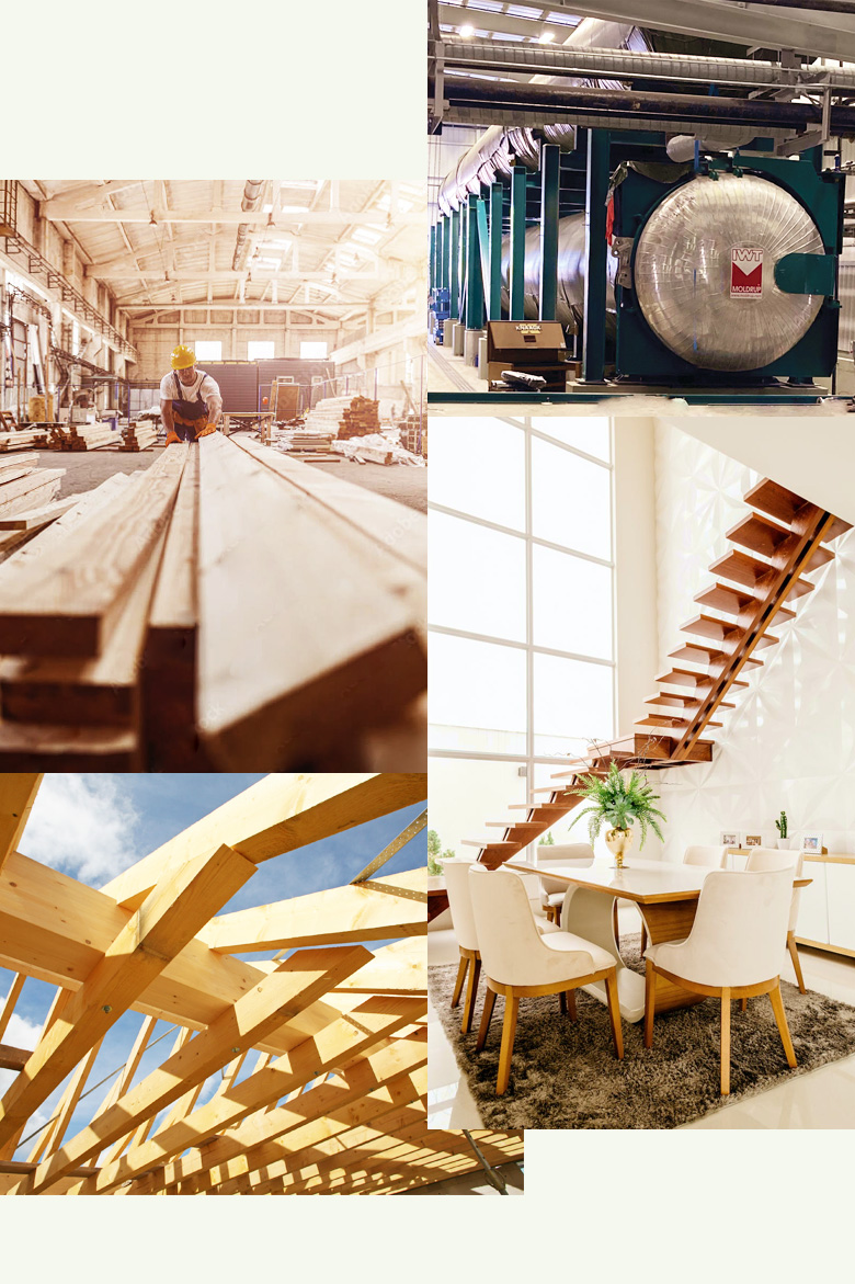 Eco-Friendly Wood Modification Technology